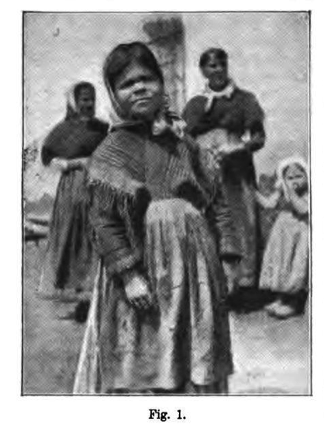 Golluda llibre els misteris dels golluts o nans de ribes