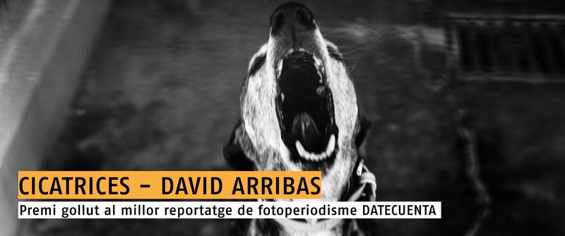 e-Festival-Gollut-2018 03-11-2018 12-53