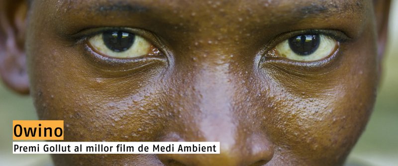 e-Festival-Gollut-2018 03-11-2018 19-32