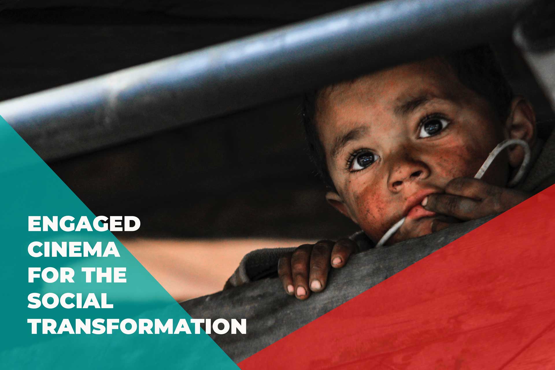 Terra G· film festival