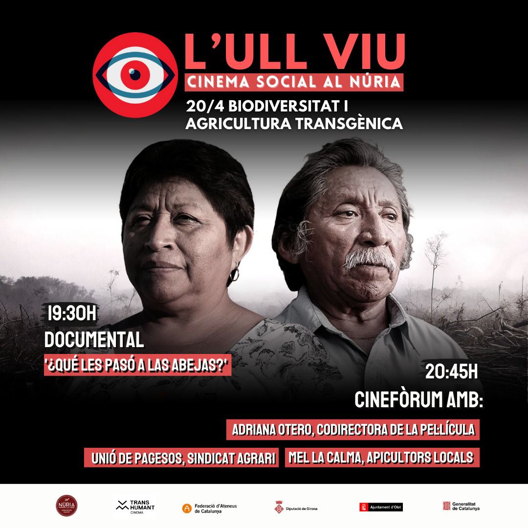¿Que les pasó a las abejas? sessió de l'Ull Viu al Núria Social