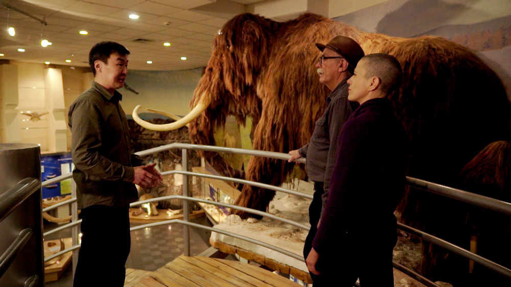 Desextincion Antaviana Films