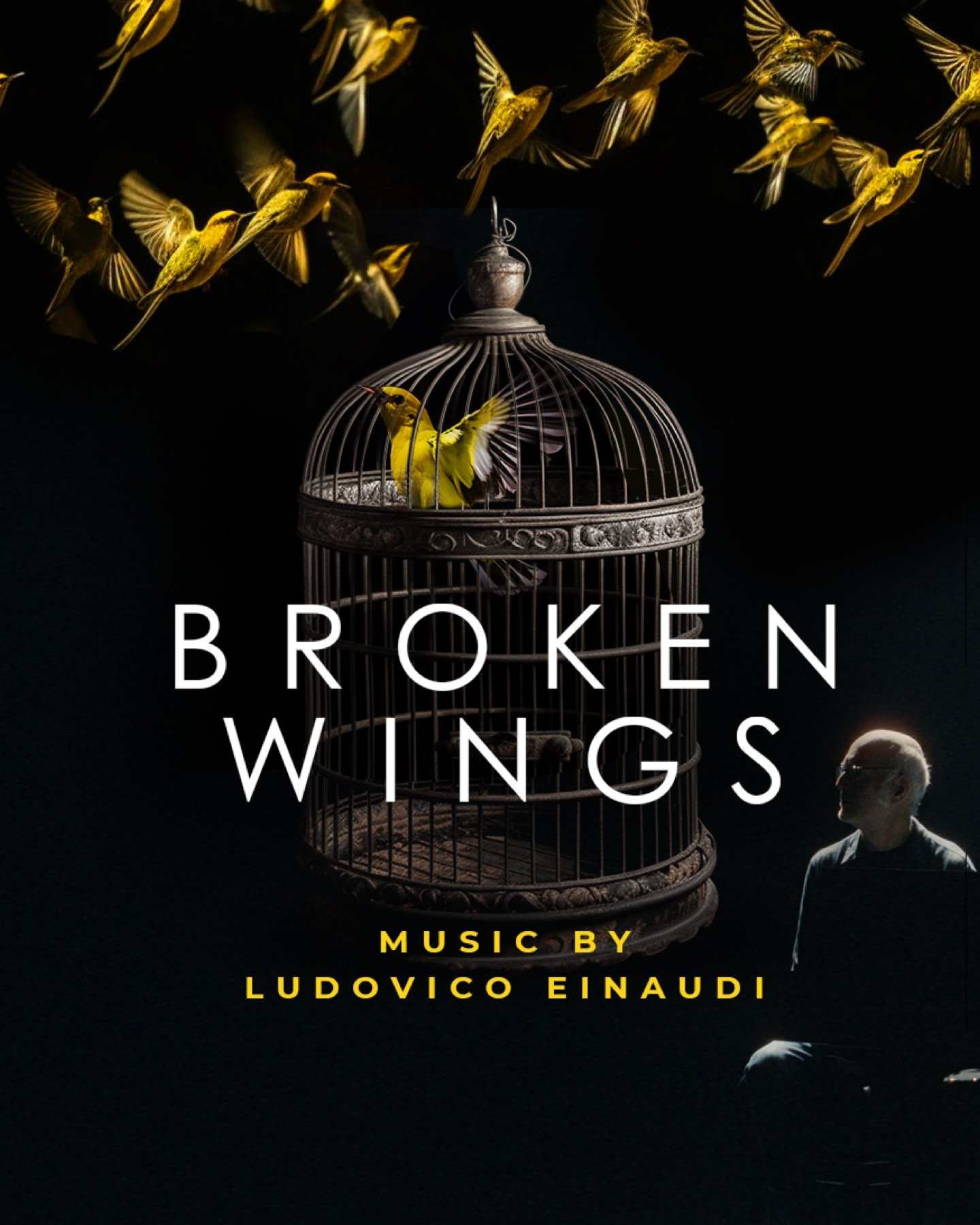 147 poster Broken Wings 1 compressed
