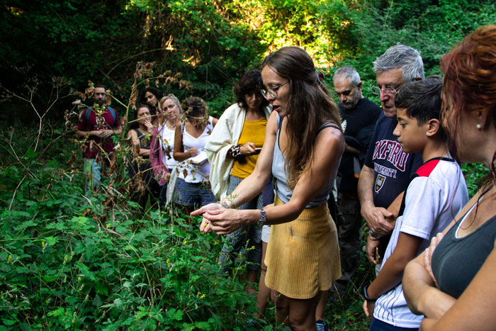 Sortida "Coneixem els nostres arbres i el seu poder guaridor"