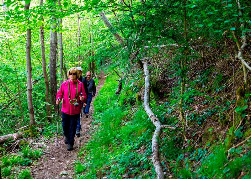 Sortida naturalística al Pla de l'Erola amb Crataegus