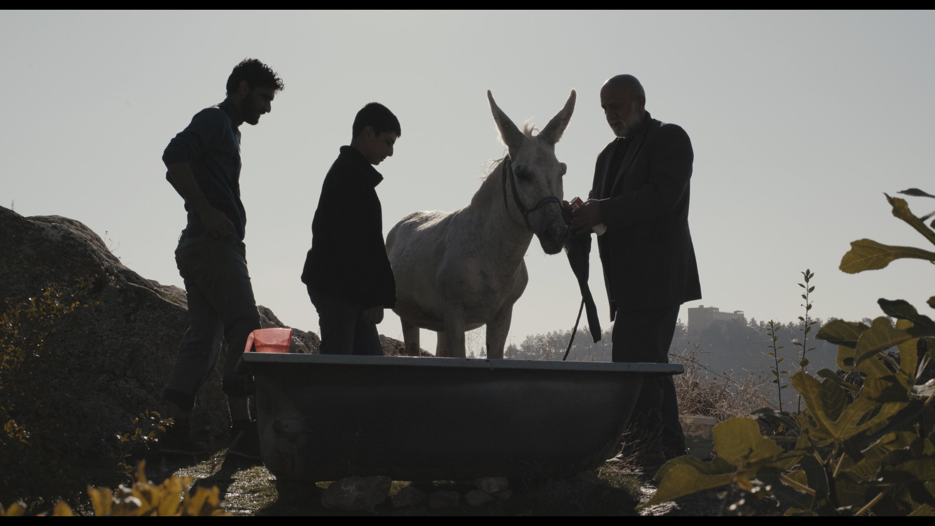 Curtmetratges Bloc 3. Figueres