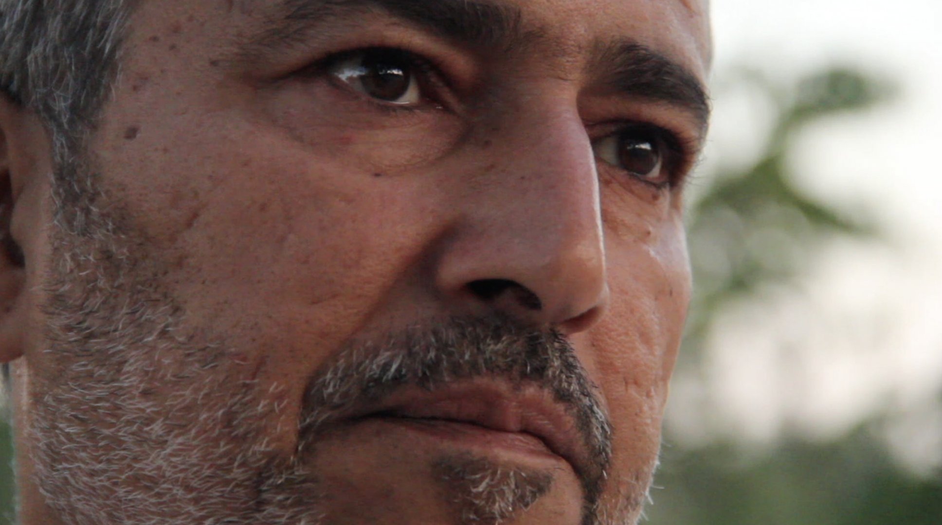 El periple. 6è Festival Gollut