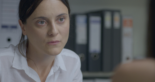 dentro del sistema web