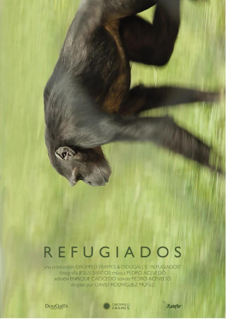 Sessió de medi ambient. Refugiados, Fronteiras d'enerxía animal y Refugiados