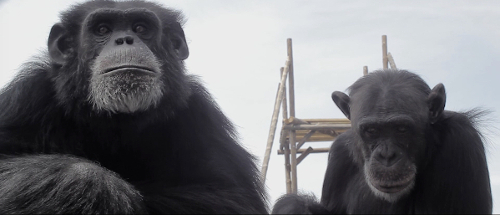 imatge Refugiados web