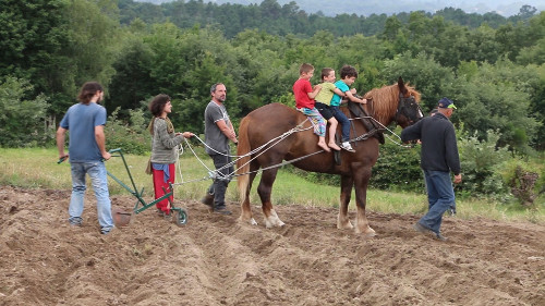 imatge fronteiras web