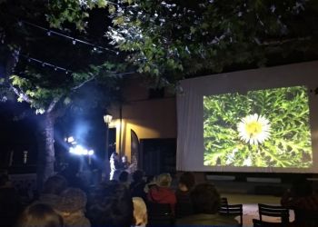 6eFestivalGollut-Foto-082