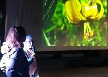 6eFestivalGollut-Foto-083