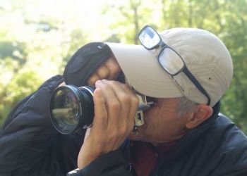 6eFestivalGollut-Foto-094