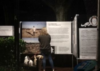 6eFestivalGollut-Foto-100