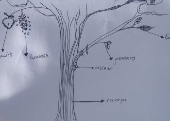 6eFestivalGollut-Foto-113