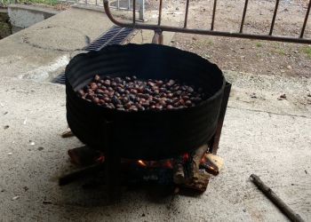 6eFestivalGollut-Foto-216